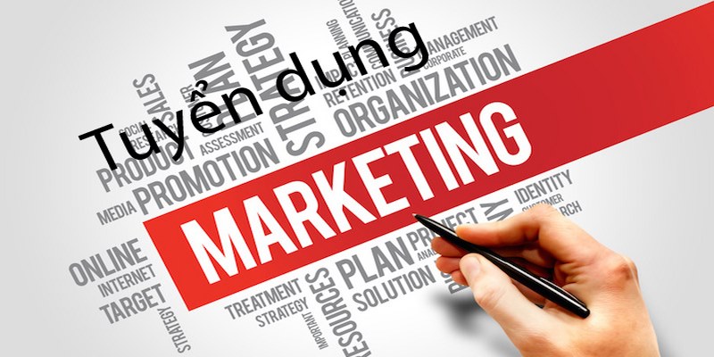 Một vài lưu ý khi tìm việc làm marketing