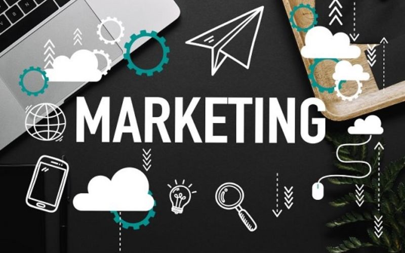 Thực tập sinh marketing được tuyển dụng rất nhiều