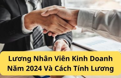 Lương Nhân Viên Kinh Doanh Năm 2024 Và Cách Tính Lương